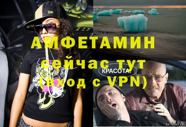 индика Гусиноозёрск