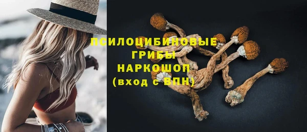 индика Гусиноозёрск