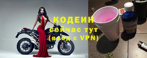 Альфа ПВП Гусев