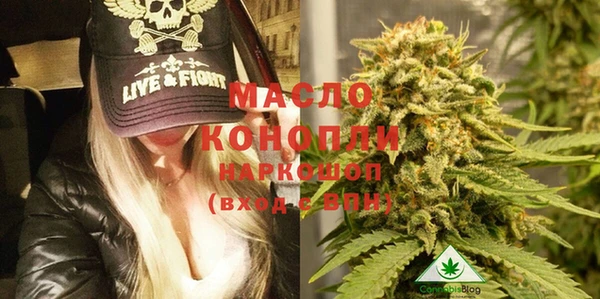 индика Гусиноозёрск