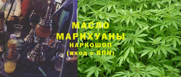 индика Гусиноозёрск