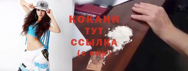 Альфа ПВП Гусев