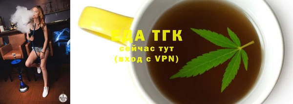 индика Гусиноозёрск