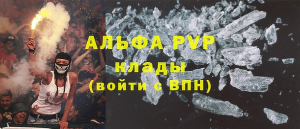 индика Гусиноозёрск