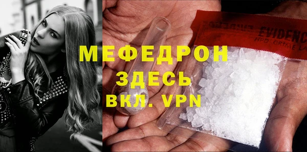 индика Гусиноозёрск