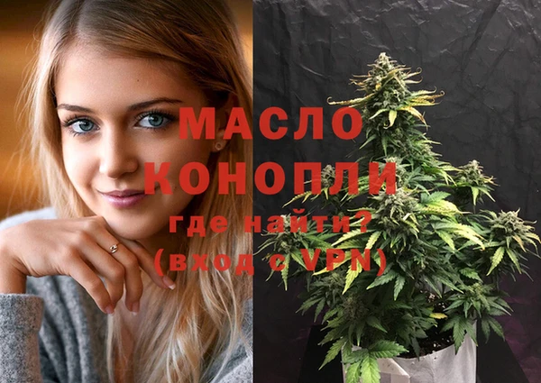 индика Гусиноозёрск