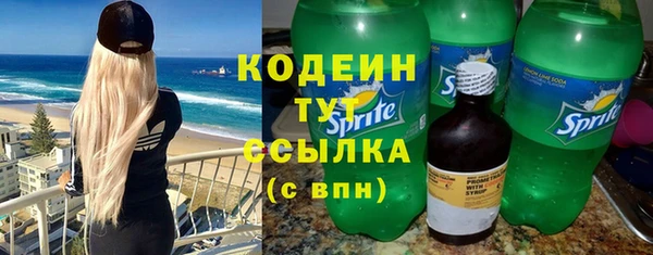 индика Гусиноозёрск