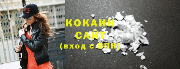 Альфа ПВП Гусев