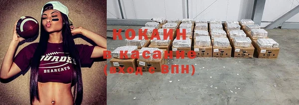 Альфа ПВП Гусев