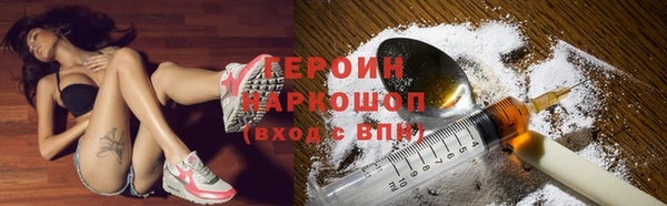 гашик Дмитровск