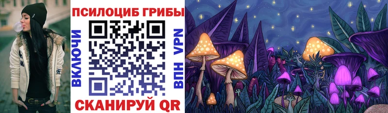Галлюциногенные грибы Cubensis  Купить где  Любань 